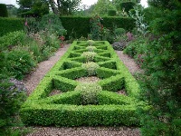 image: Ornamental box hedges in Cothay Manor gardens